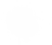 WingmanX hero shape 2